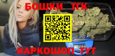 индика Краснознаменск