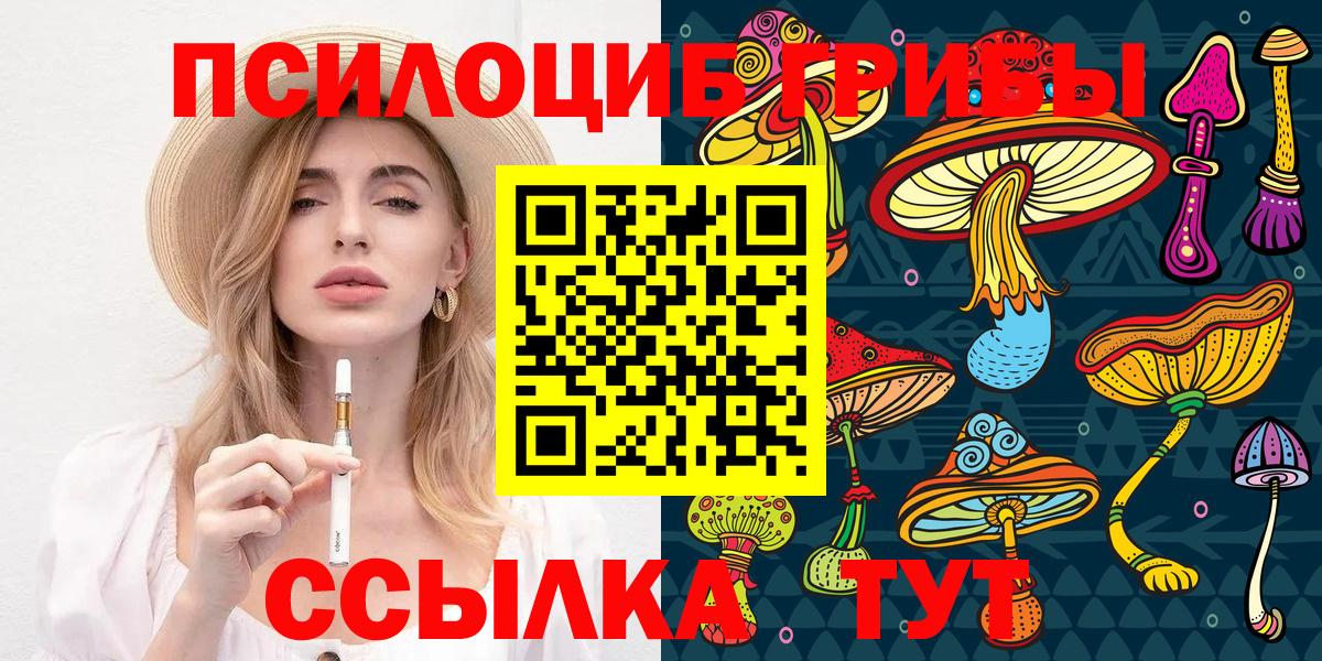 Псилоцибиновые грибы Cubensis Каменск-Уральский