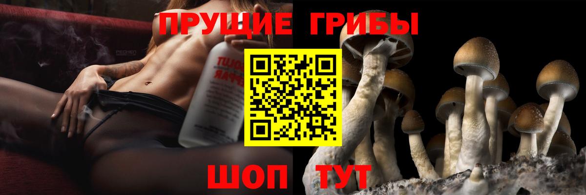 Псилоцибиновые грибы ЛСД  Вход с VPN  Каменск-Уральский 